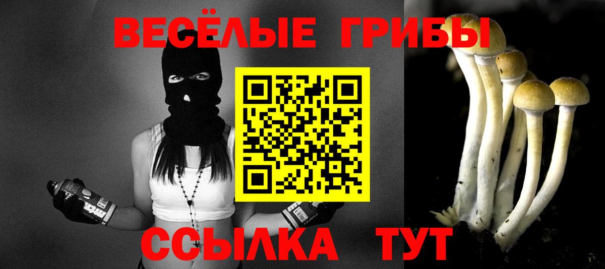 цена   Вход с VPN  Псилоцибиновые грибы мухоморы  Зеленокумск  Псилоцибиновые грибы мухоморы 